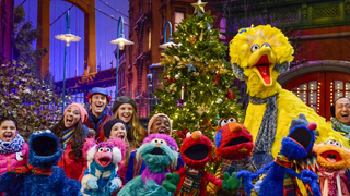 <i>Sesame Street </i>addresses the opioid crisis with Muppet whose mother is in recovery